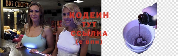 прущие грибы Абаза
