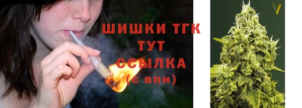 прущие грибы Абаза