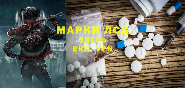 прущие грибы Абаза