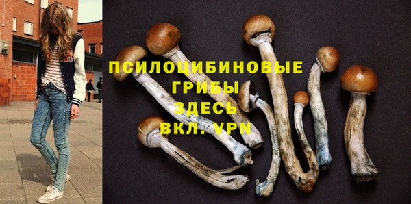 молекула духа Абинск
