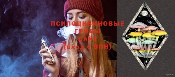 молекула духа Абинск