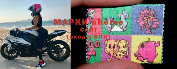 прущие грибы Абаза