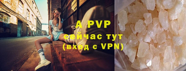 прущие грибы Абаза