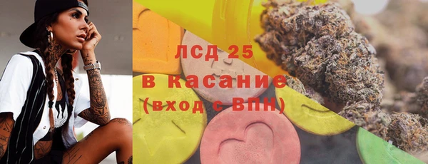прущие грибы Абаза