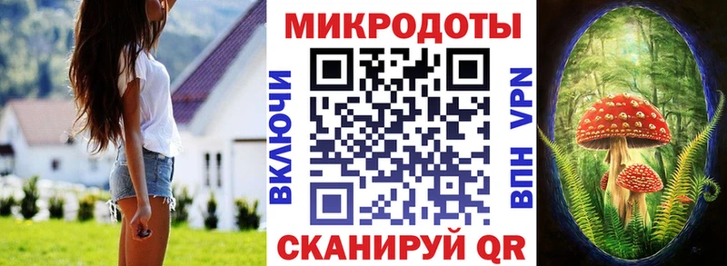 Галлюциногенные грибы Psilocybine cubensis  Волгоград 